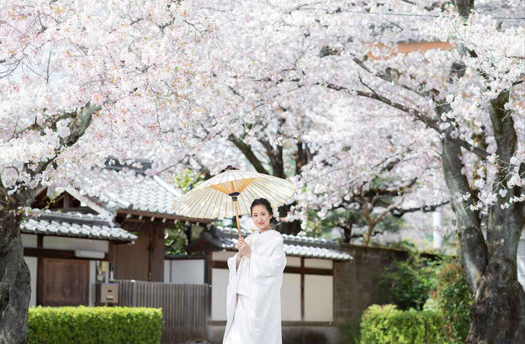 11京都櫻花-櫻花和服散策