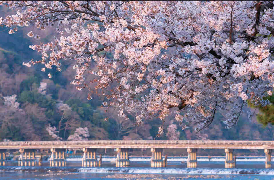 36-京都渡月橋