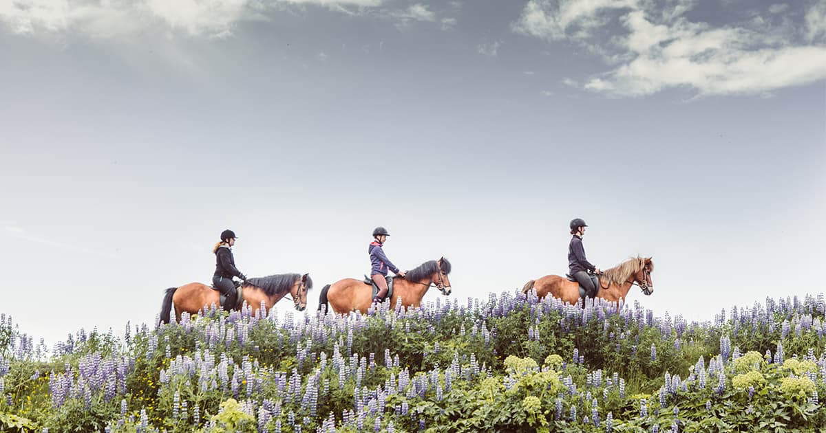 冬季冰島小團旅遊騎馬