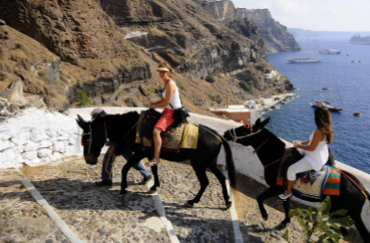 希臘聖托里尼騎驢子