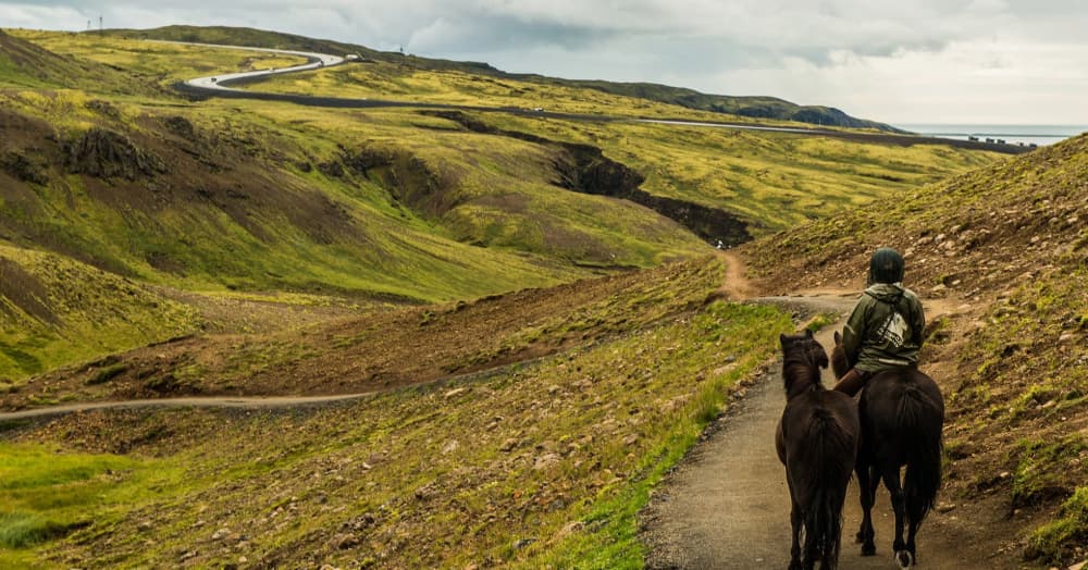 冰島上午騎馬體驗