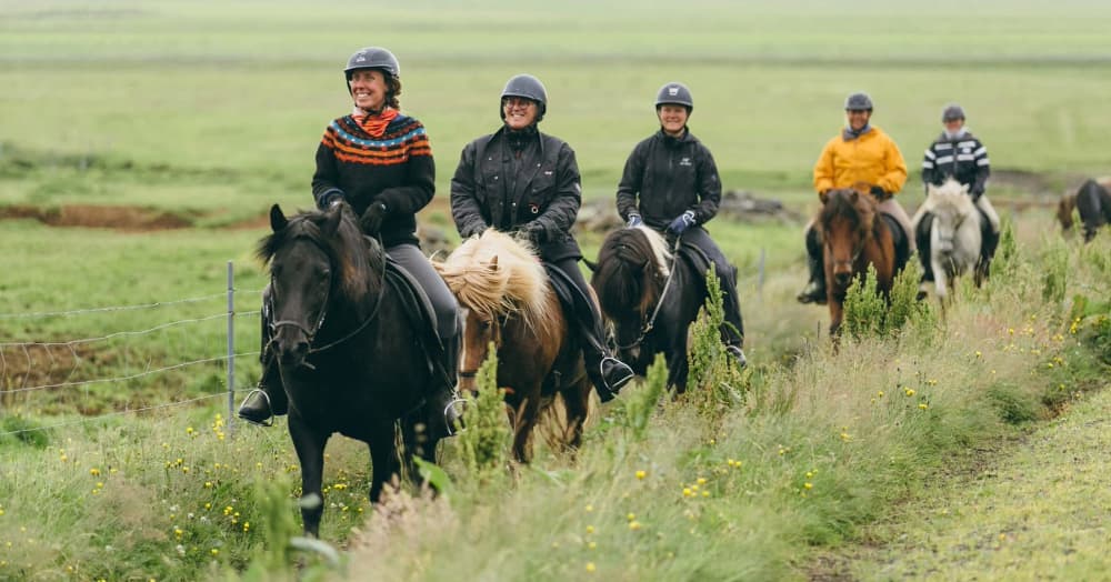 冰島騎馬約1小時