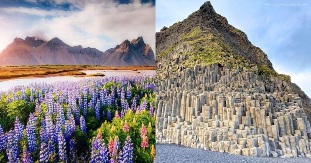 冰島蝙蝠山及黑沙灘