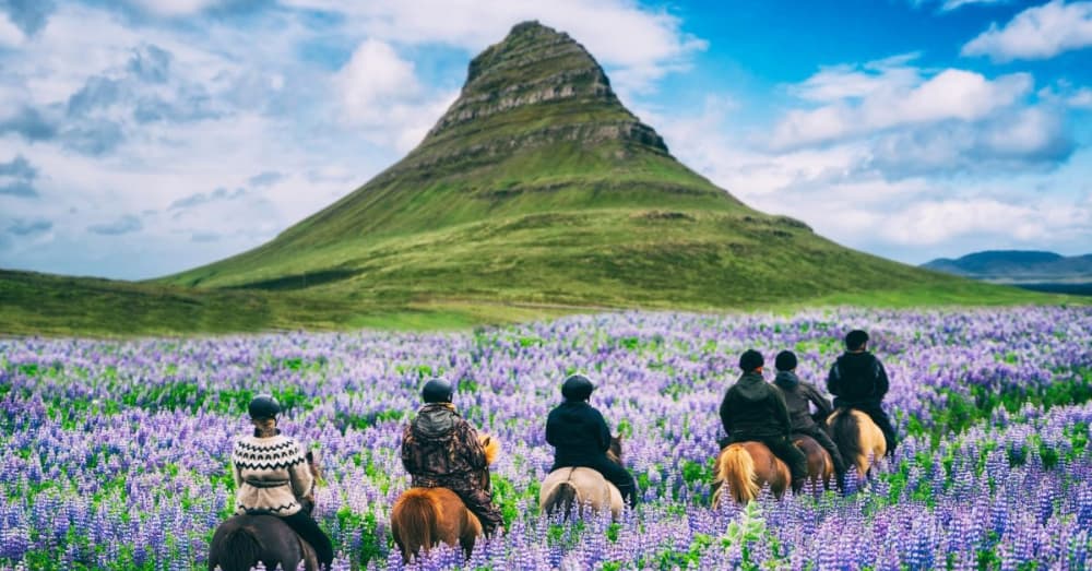 D3-3 冰島斯奈山半島騎馬
